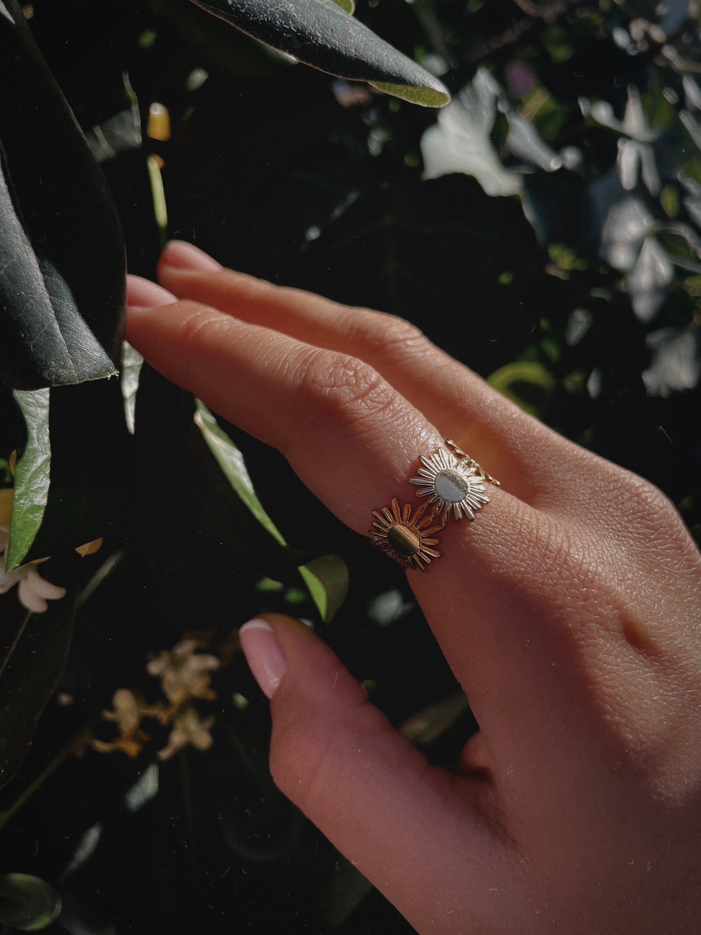 BAGUE | Flora